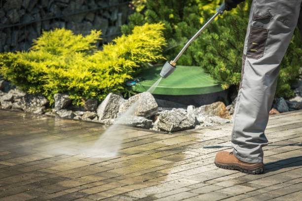 Best Animal Enclosure Cleaning  in Tresckow, PA