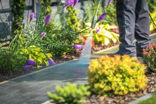 Best Sidewalk and Walkway Cleaning  in Tresckow, PA